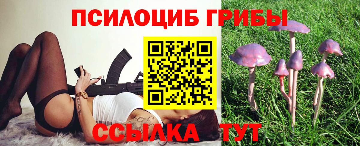 Псилоцибиновые грибы прущие грибы Набережные Челны
